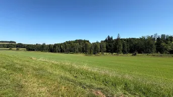 Expose LN-Grund Wiese und Ackerflächen