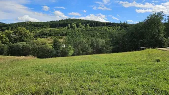 Expose Baugrund in Siedlungslage am Ortsrand