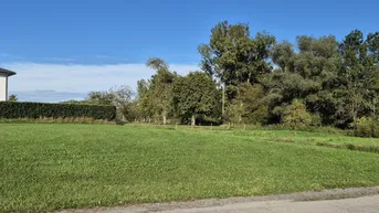 Expose Randparzelle in kleiner Streusiedlung Aumühle ohne Bauverpflichtung