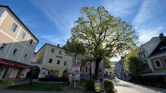 Expose SCHÖNE BÜROFLÄCHE IN BESTER LAGE IN KIRCHDORF AN DER KREMS!