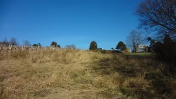 Expose Anlage.: Grundstücke in Grinzinger Wald- und Wiesen Schutzgebiet " KEIN BAUGRUND"