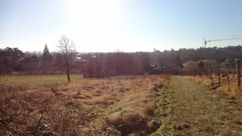 Expose Anlage.: Grundstücke in Grinzinger Wald- und Wiesen Schutzgebiet " KEIN BAUGRUND"