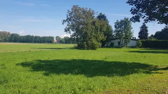 Expose GELDANLAGE OHNE BAUZWANG, PROJEKTLIEGENSCHAFT ODER IHR BAUGRUNDSTÜCK FÜR IHR TRAUMHAUS?