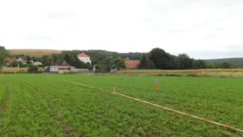 Expose Baugrundstücke in Niederkreuzstetten in traumhafter Lage im Herzen des Weinviertels