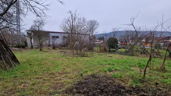 Expose RARITÄT: AUFGESCHLOSSENES BAUGRUNDSTÜCK IN LANGENLOIS OHNE BAUZWANG