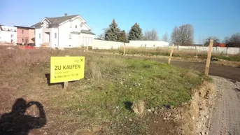 Expose Baugründe in Purbach!
