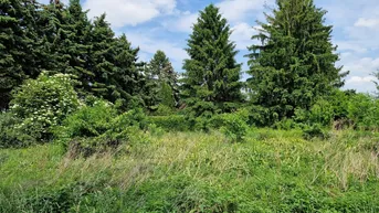 Expose GELDANLAGE OHNE BAUZWANG MIT BAUTRÄGEREIGNUNG ODER IHR GRUNDSTÜCK FÜR EIN TRAUMHAUS IN RUHIGER SIEDLUNGSLAGE