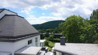 Expose Traumlage! Zwei baulich getrennte Architektenvillen auf großem Grundstück