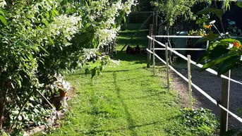 Expose Schickes Landhaus in Oberdanegg im Gartenparadies! Tierhaltung möglich!