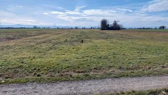 Expose KLEINE ACKERFLÄCHE MIT GUTER BONITÄT IN SEITZERSDORF-WOLFPASSING