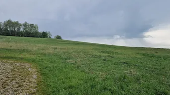 Expose AUSSERGEWÖHNLICHES BAUGRUNDSTÜCK IN MAIGEN MIT HERRLICHEM AUS- UND FERNBLICK IN TOLLER, RUHIGER, ERHÖHTER WOHNLAGE