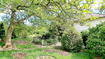 Expose BUNGALOW IM GRÜNEN