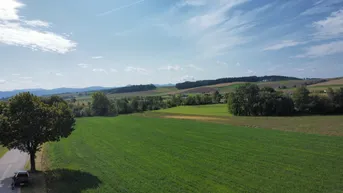 Expose ca. 1,3 Ackerfläche in St. Leonhard am Forst mit guter Bonität