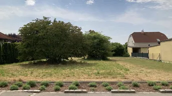 Expose RARITÄT: EINE SELTENE GELEGENHEIT BIETET DIESES BAUGRUNDSTÜCK IN RUHIGER BESTLAGE MITTEN IN DER GARTENSTADT TULLN AN DER DONAU DAS ALLES OHNE BAUZWANG