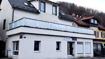 Expose ZINSHAUS IN ZENTRALER LAGE