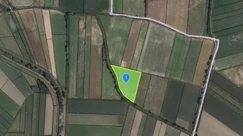 Expose ACKERFLÄCHE IN EGGENDORF AM WAGRAM - ZUSAMMENHÄNGENDE LANDWIRTSCHAFTLICHE FLÄCHE