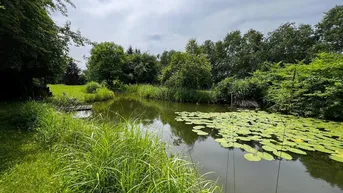 Expose Naturjuwel in Gottsdorf – exklusives 4ha großes Grundstück mit drei Teichen