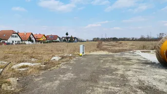 Expose BAUGRUNDSTÜCK AM FÖHRENSEE IN TRASDORF INMITTEN DER NATUR AN FELDER DER REGION ANGRENZEND