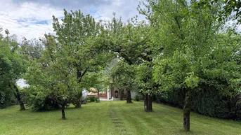 Expose Charmantes Einfamilienhaus mit Blick auf Donau und riesigem Garten in Marbach!