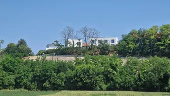 Expose HERRLICHER AUSBLICK AN DER WAGRAMKANTE: MODERN, MASSIV &amp; HOCHWERTIG WOHNEN IN DER WEINREGION MIT BESTER INFRASTRUKTUR