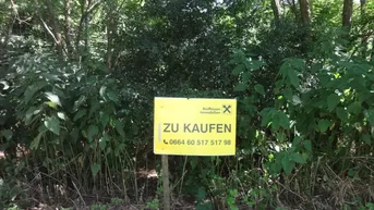 Expose Verbuschtes Baugrundstück in ruhiger Lage ohne Bauzwang !