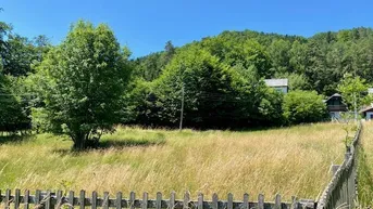 Expose Mehr als 5000m² Grund! Wo sich Fuchs und Hase "gute Nacht" sagen!