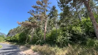 Expose Waldparzelle in Unterhöflein