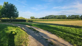 Expose EINE SELTENE GELEGENHEIT AUF EINE KLEINE ACKERFLÄCHE IN FREUNDORF - ZUSAMMENHÄNGENDE LANDWIRTSCHAFTLICHE FLÄCHE