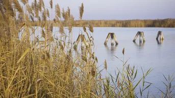 Expose "The Lagoon" - Modern - Nachhaltig - Elegant