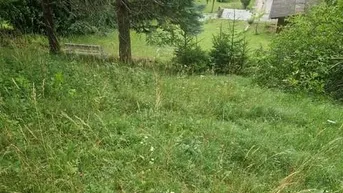 Expose Ihre Liegenschaft mit soviel Wald! Errichten Sie hier Ihr Traumhaus!
