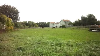 Expose Großes Baugrundstück mit vielseitigem Bebauungspotential!