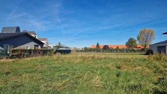 Offenes Wiesengrundstück mit angrenzenden Wohnhäusern und klarem, sonnigen Himmel.