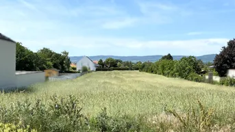 Expose Rarität! Großer Baugrund im malerischen Oslip - 5min zum Neusiedler See!