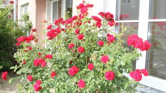 Expose Traumhafte 4-Zimmer-Eigentumswohnung mit Terrasse und direktem Gartenanschluss