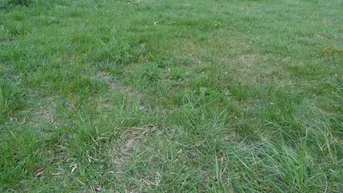 Expose 7024 Hirm sehr interessantes 4400m² Bauträgergrundstück !