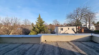 Expose EINZELHAUS MIT KELLER. PREIS REDUZIERT! GRATIS SONDERAUSSTATTUNG! 115m² GARTEN. TOP S-BAHN-ANBINDUNG. Provisionsfrei für den Käufer.