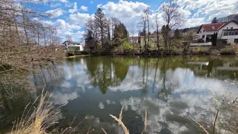 Idyllischer Teich mit umliegender Natur und Wohnhäusern im Hintergrund unter blauem Himmel.