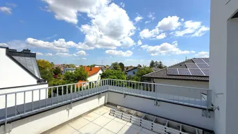 Sonniger Dachterrasse mit weitem Blick über die Dächer und die grüne Umgebung.