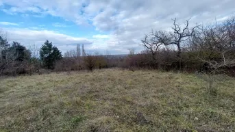 Expose 2410 Hainburg/Donau - Gartenliebhaber aufgepasst - Bauplatz mit angrenzendem Grünland