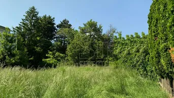 Expose Südseitiger Villenbaugrund mit Baugenehmigung!