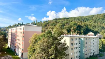 Expose Wohntraum in Linz Urfahr: 3-Zimmer Wohnung - Grün, Urban und WG-geeignet