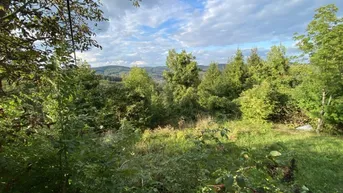 Expose PREISREDUKTION! 973 m² Grundstück in absoluter Grünruhelage 1140 Wien ideal für ein Eigenheim !