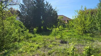 Expose Leben beim Schloss Süßenbrunn inkl. Badeteich sowie Reitschule | Baubewilligtes Bauträgerprojekt