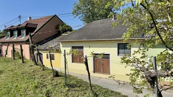 Expose Weinkeller in idyllischer Kellergasse | Nähe Langenlois