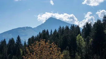 Expose Alpenperle