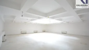 Expose GESCHÄFTS-/ BÜRO-/ PRÄSENATIONS-FLÄCHEN nahe SCHOTTENTOR