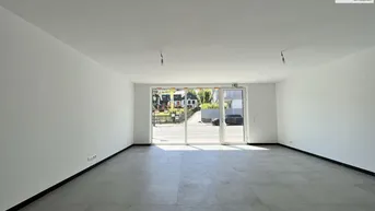 Expose 360° TOUR // VINEYARD RESIDENCES - GESCHÄFTSLOKAL in NEUSTIFT AM WALDE