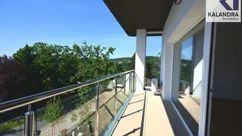 Expose 360° TOUR // EXKLUSIVE DOPPEL-HAUSHÄLFTE am SCHAFBERG// Exclusive SEMI-DETACHED HOUSE on "SCHAFBERG"