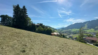 Expose Traumhaftes Grundstück mit Blick über Wildschönau ( 06227 )