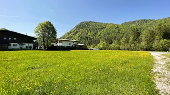 Expose Baugrund in traumhafter Sonnen-/Aussichtslage ( 05642 )